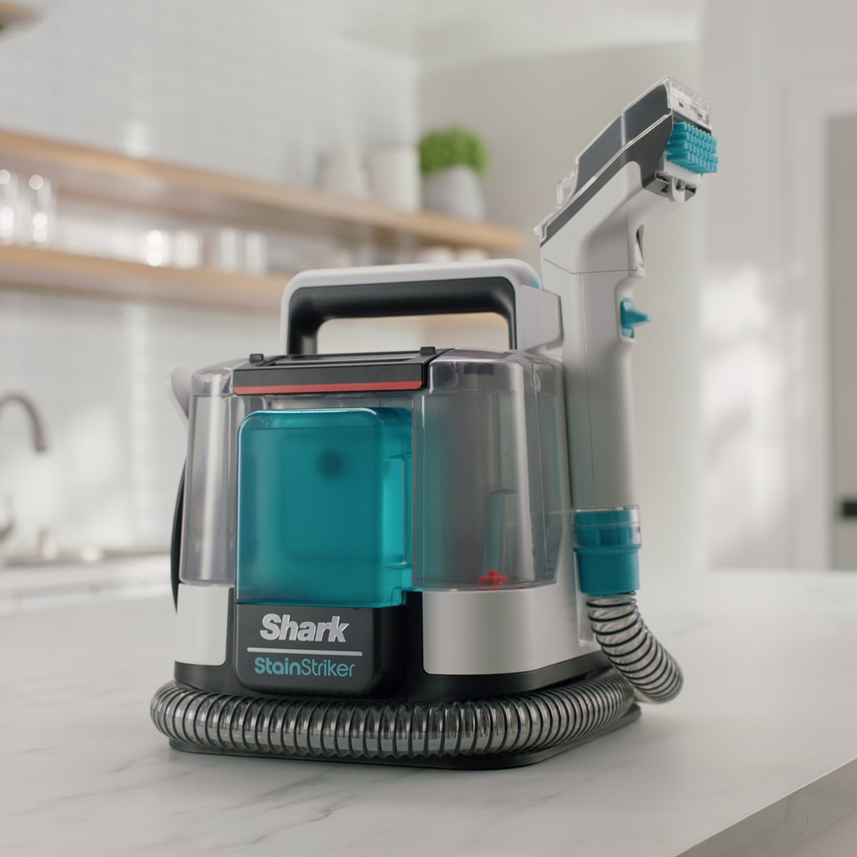 Carpet Upholstery Rug Cleaners Spot Stain Removers Shark carpet-upholstery-rug-cleaners-spot-stain-removers-shark